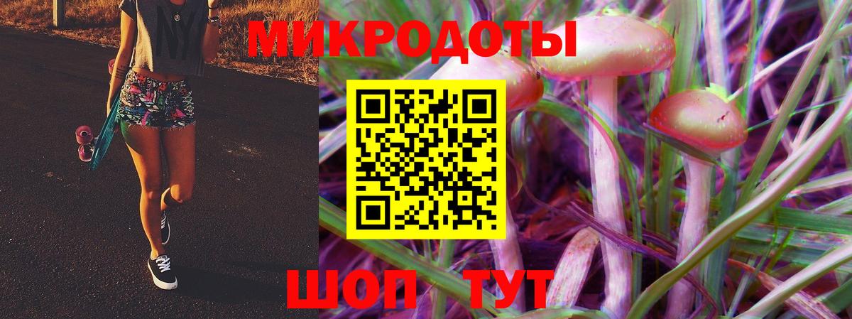 Галлюциногенные грибы Ленинск-Кузнецкий