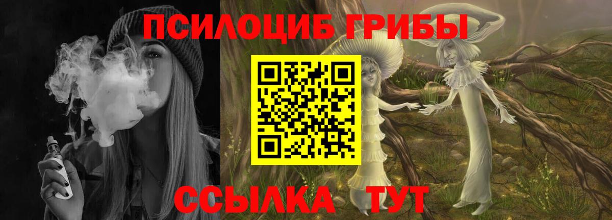 Галлюциногенные грибы MAGIC MUSHROOMS Ленинск-Кузнецкий